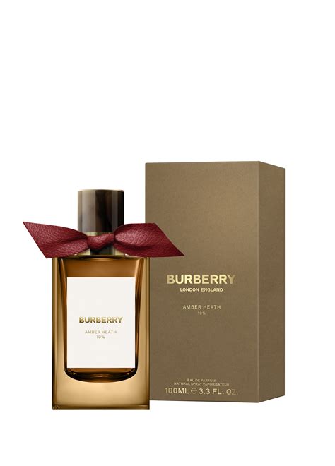 amber heath Burberry signatures